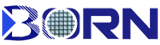 BORN Semiconductor