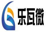 Lewa Micro Electronics