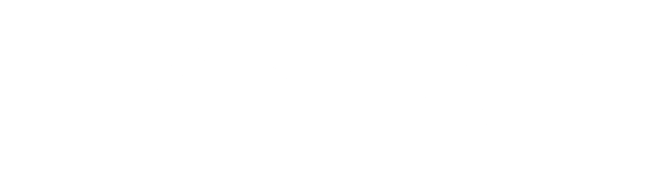 Chiplntelli