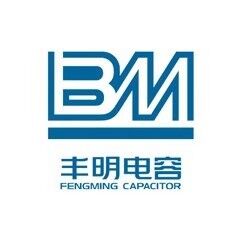 BM Capacitors