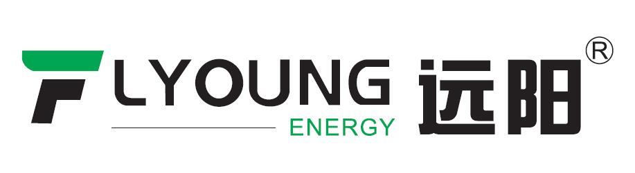 FLYOUNG Technology Co., Ltd.