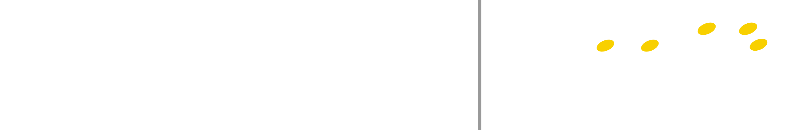 Atlanta Micro Inc.