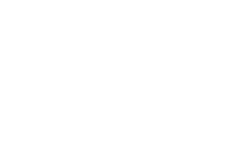 Pletronics Inc